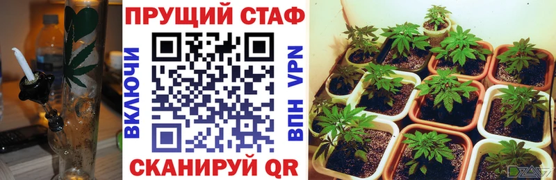 Купить Дыгулыбгей Alpha PVP Бошки Шишки Меф Амфетамин Лсд 25 Гашиш КОКАИН