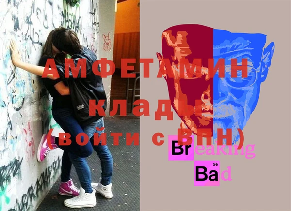 гашик Осинники