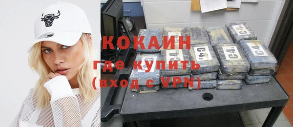 гашик Осинники